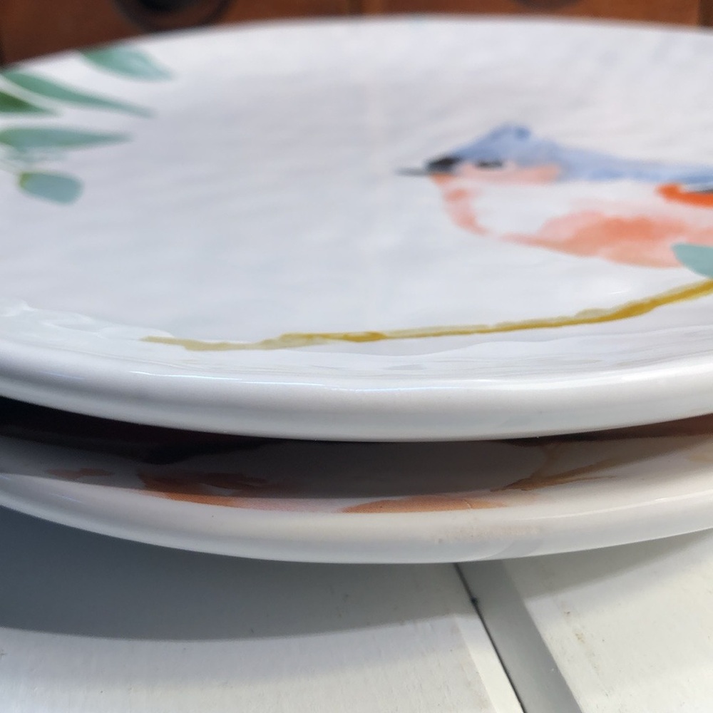 Wild Bird Plates Cardinal Bluebird Designs NWT Set of 2 by Giftcraft Collection - Picture 11 of 13